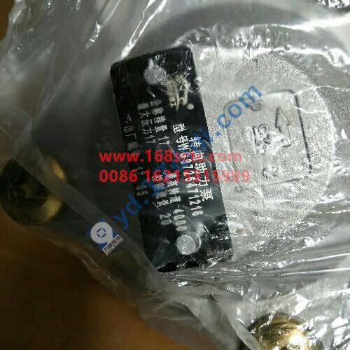WG9725471216-SINOTRUK HOWO-Steering Pumpaluminum 17Mpax20L/minblade type-HaoWo2009Kuan