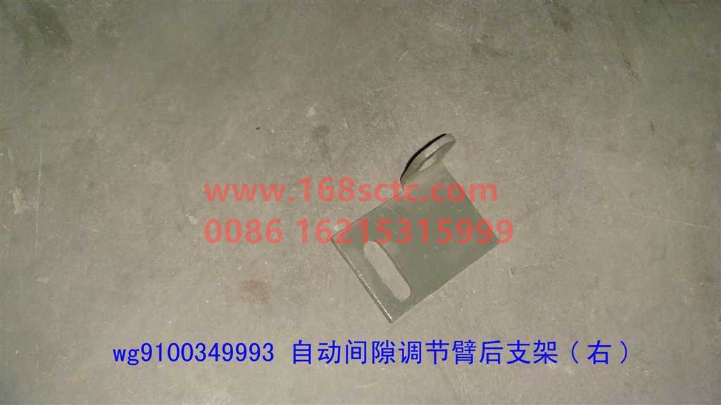 WG9100349993
