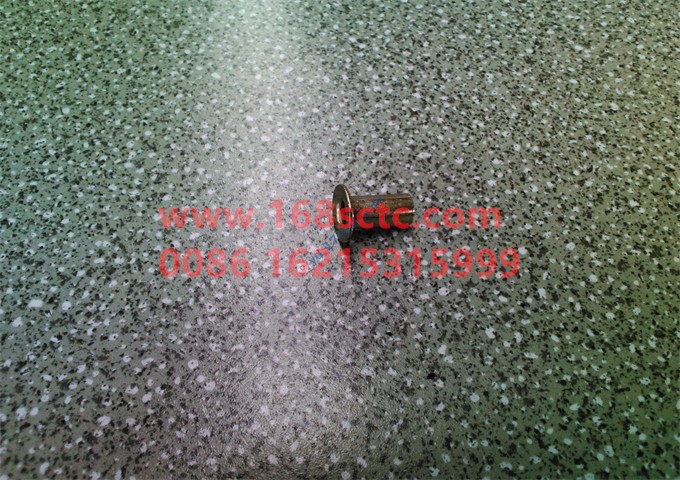 AZ9231340068-SINOTRUK HOWO-Brake rivets-ZhongQiSTRCheQiao