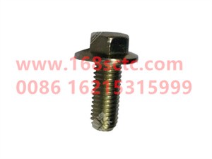 ZQ1841025-OTHERS-Hex flange bolt M10x25-LiuJiaoTouLuoShuan