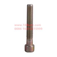 JAC1100195FA040W0498