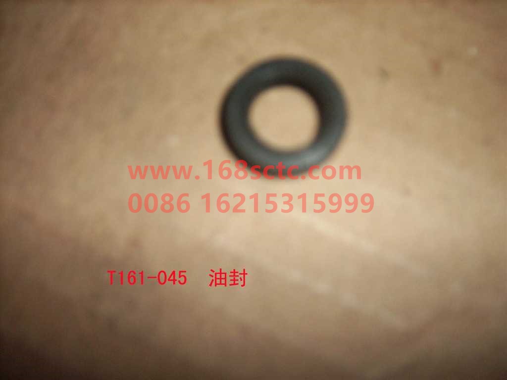 T161-045