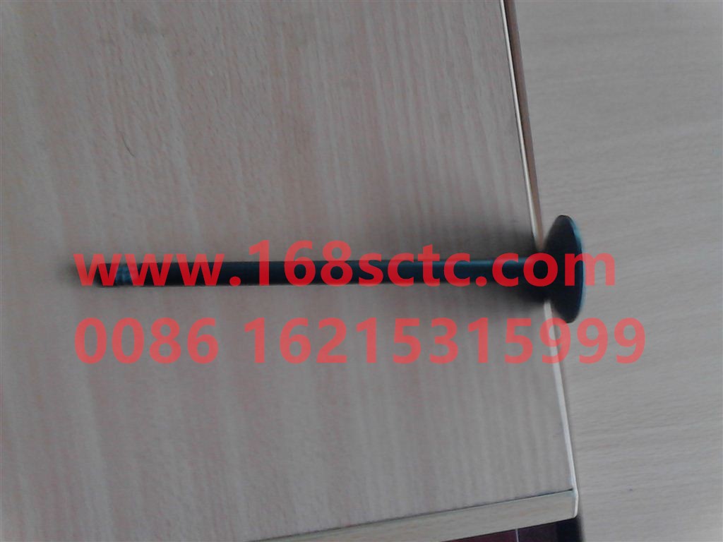 VG1238050005-SINOTRUK HOWO-Exhaust valve without packaging-ZhongQiFaDongJiT12.42-50