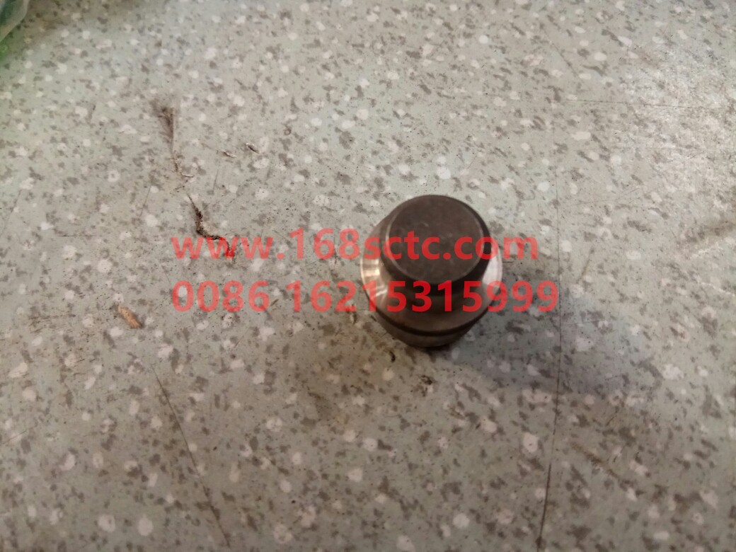 AZ2229100056-SINOTRUK HOWO-Lock plate pin-ZhongQiBianSuXiangHW15710