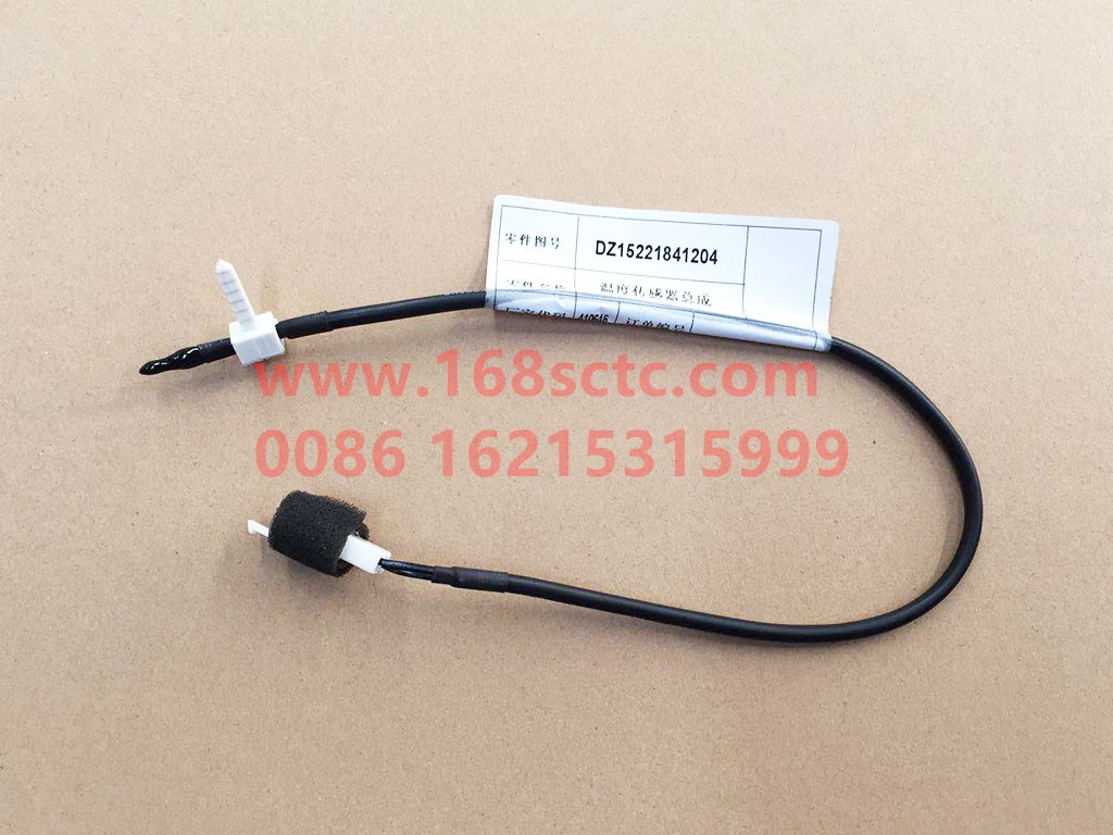 DZ15221841204