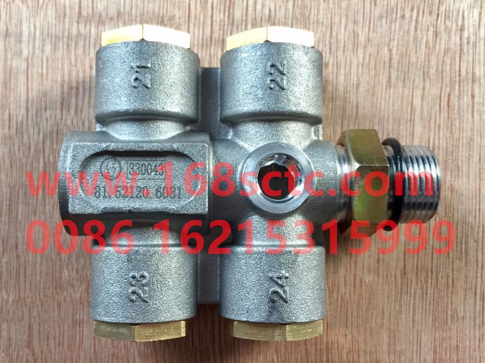 81.52120.6081-SHACMAN-Threaded gas distributor with check valve-DeLongF3000 2010Kuan