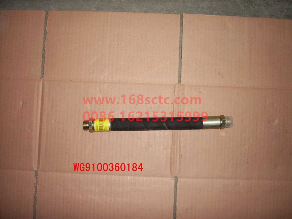 WG9100360184