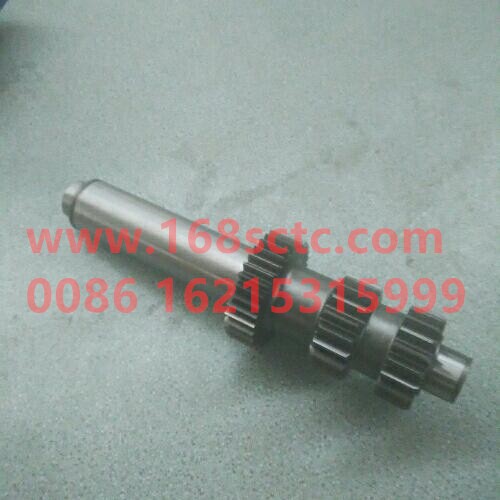 16JS200T-1701048-GEARBOX-intermediate shaft (19/19/35)-FaShiTeBianSuXiang16JS200T
