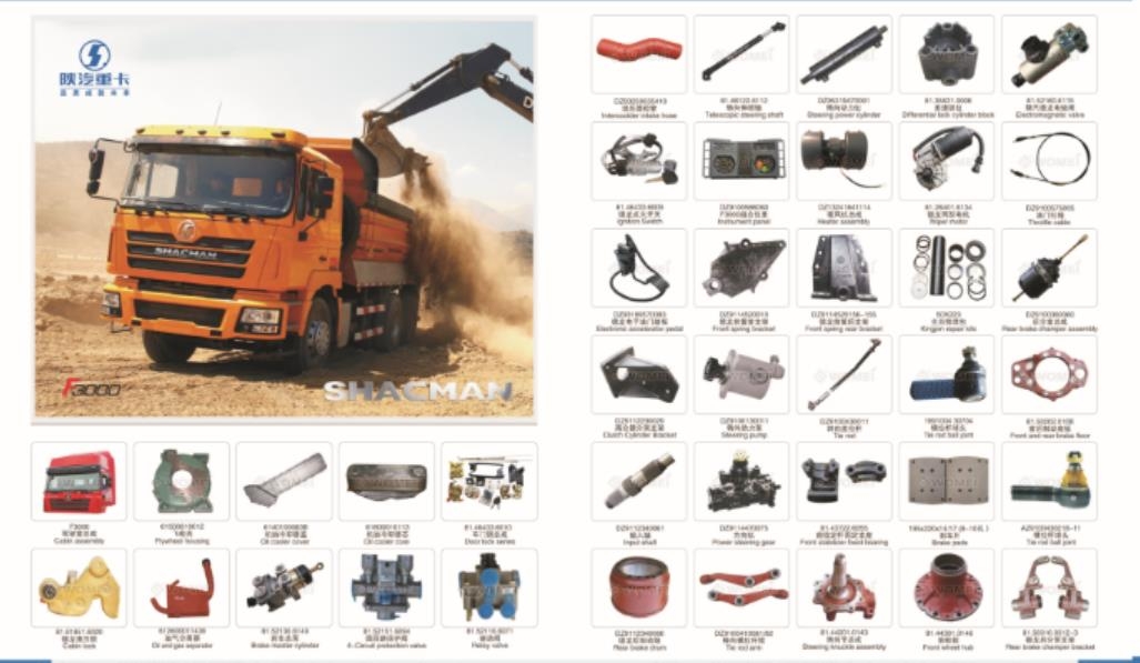 SHACMAN PARTS