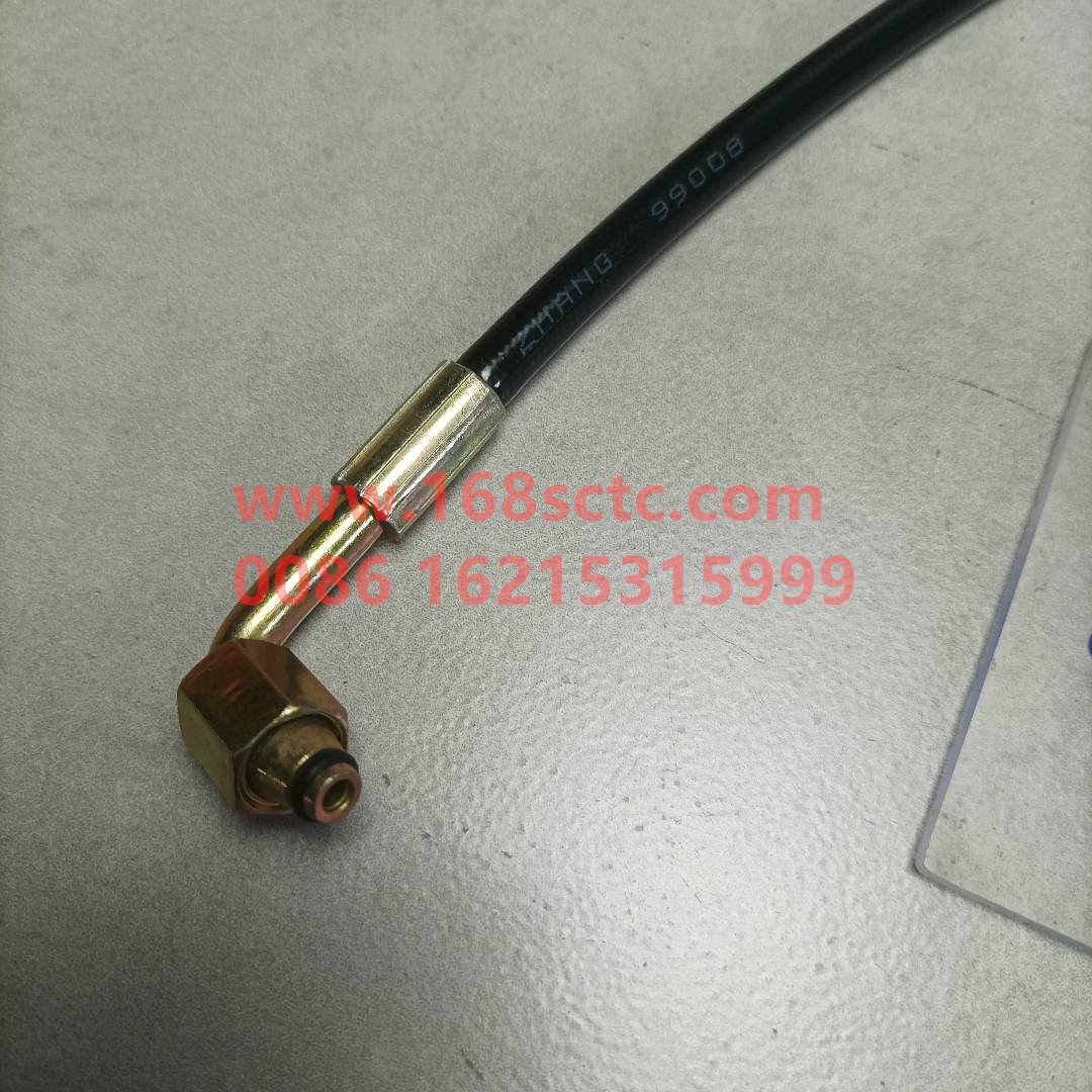 wg9719820204