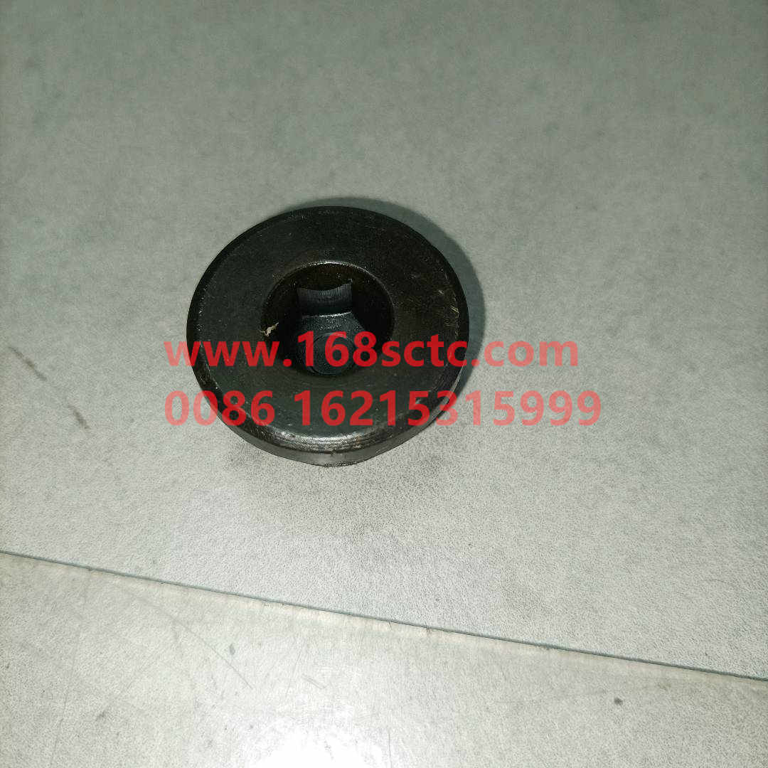 WG9231340002-SINOTRUK HOWO-Hexagon socket plug-ZhongQiZhongQiaoST13