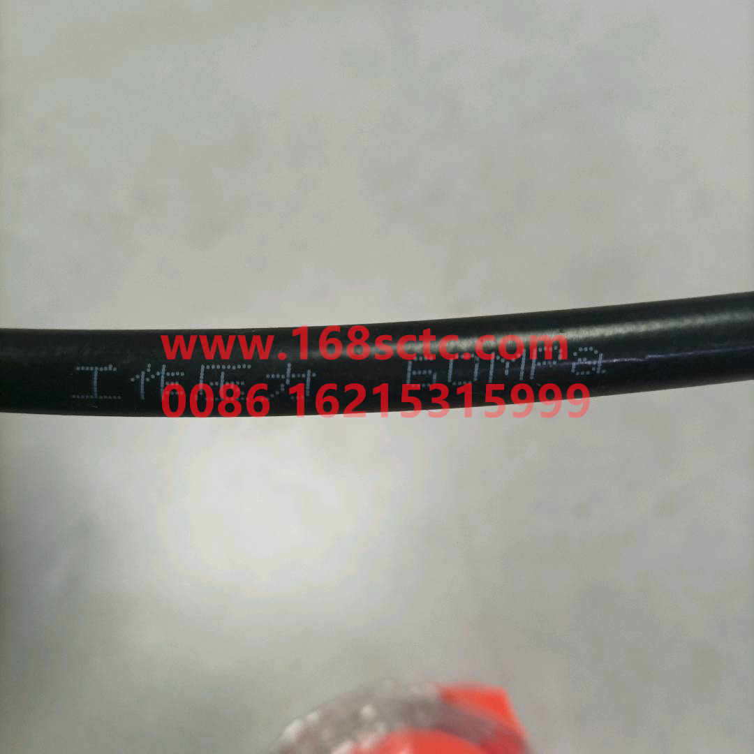 wg9719820207