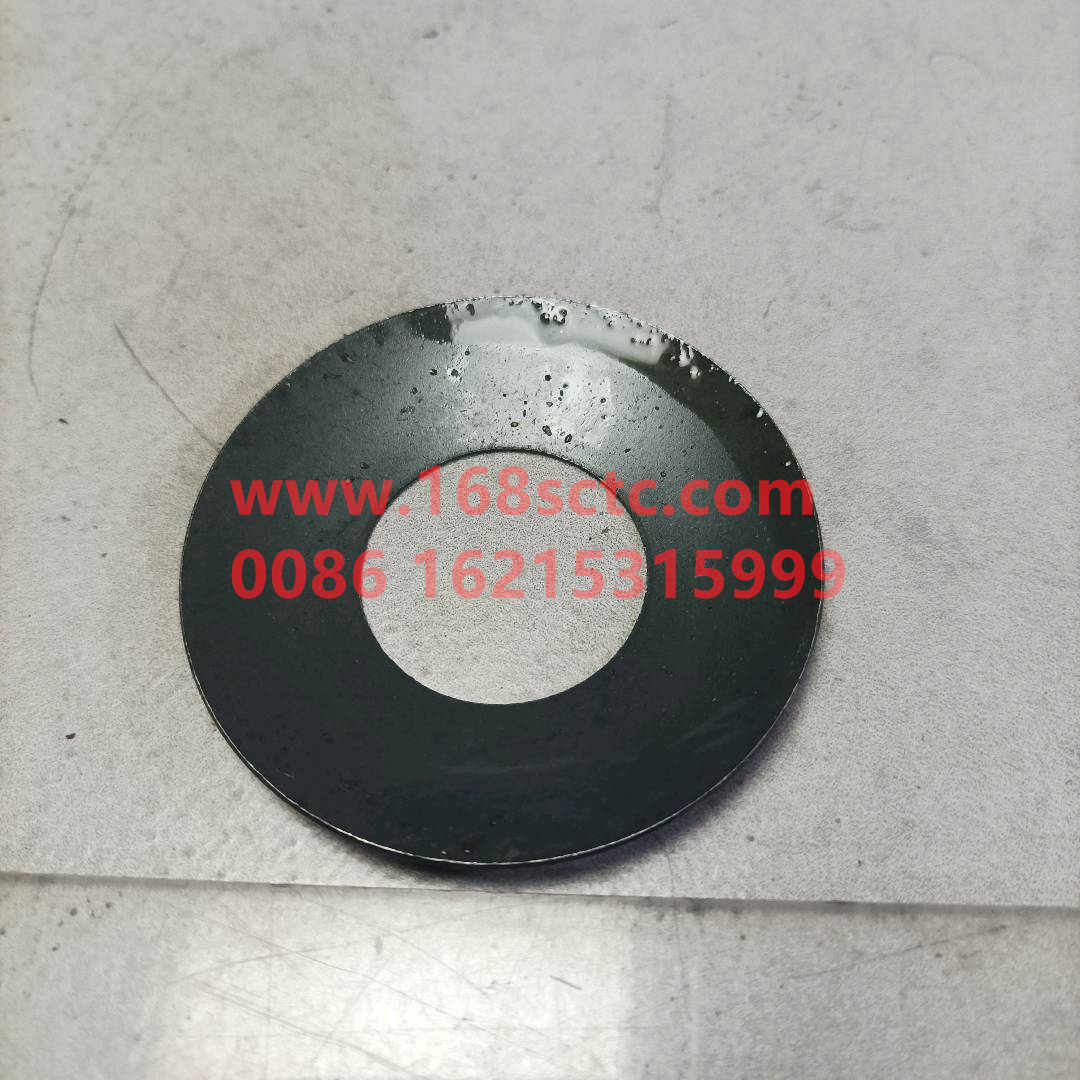 WG9231320224-SINOTRUK HOWO-Interaxle differential planetary gear spacerplastic-ZhongQiHouQiaoAC16
