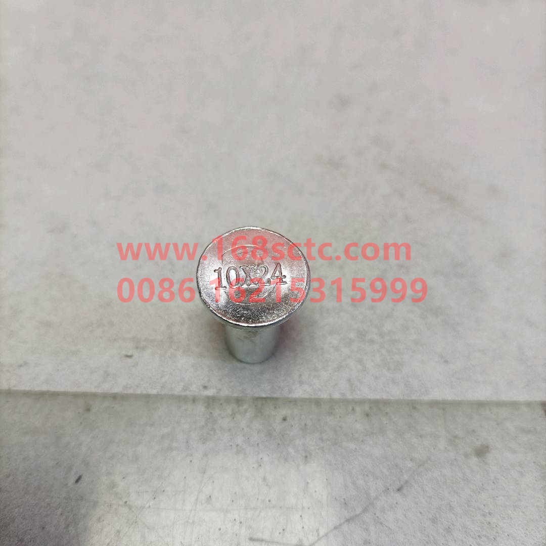 WG9231340068-SINOTRUK HOWO-Brake rivetsCopper plated ironhollow 8X20-ZhongQiZhongQiaoAC16