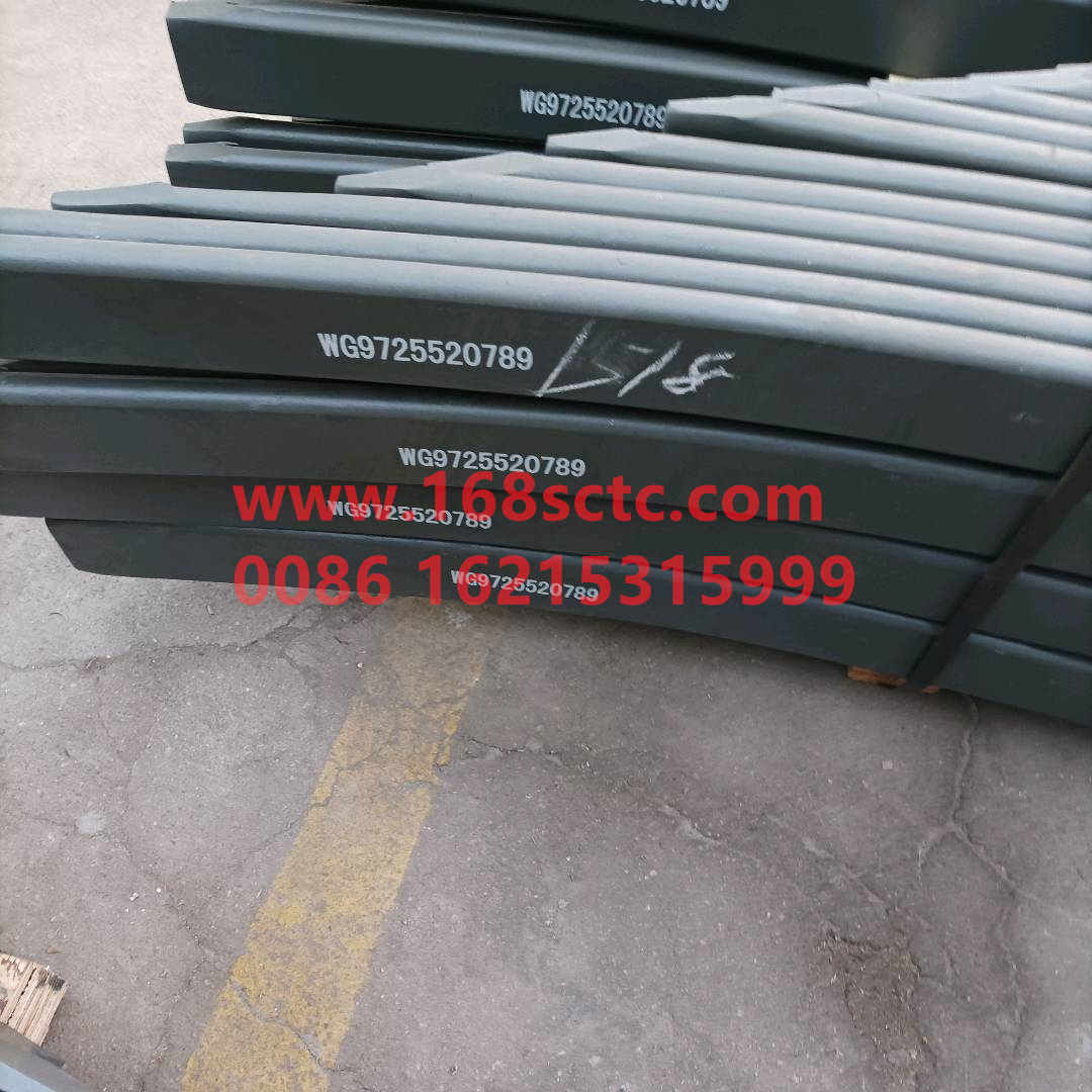 WG9725520789