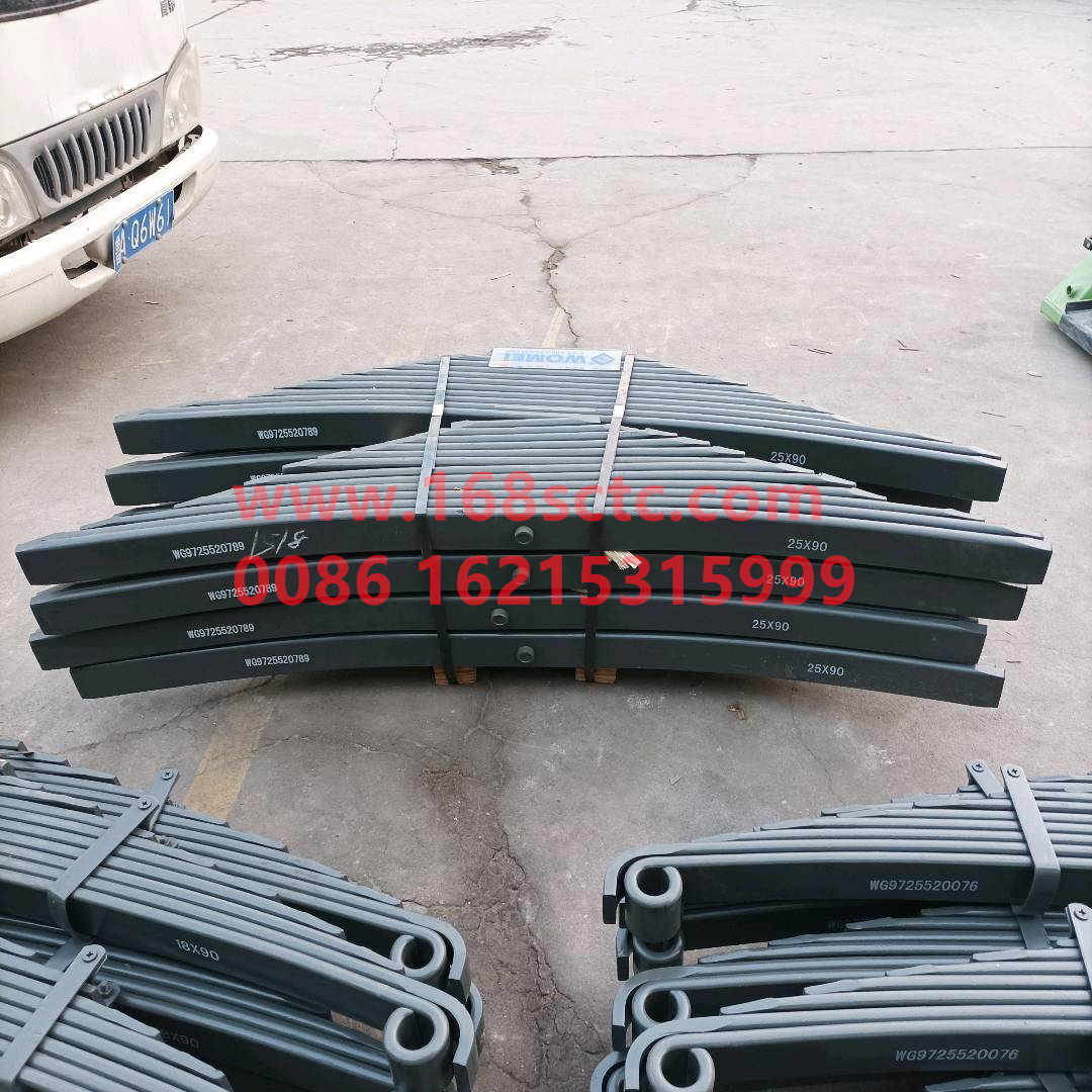 WG9725520789