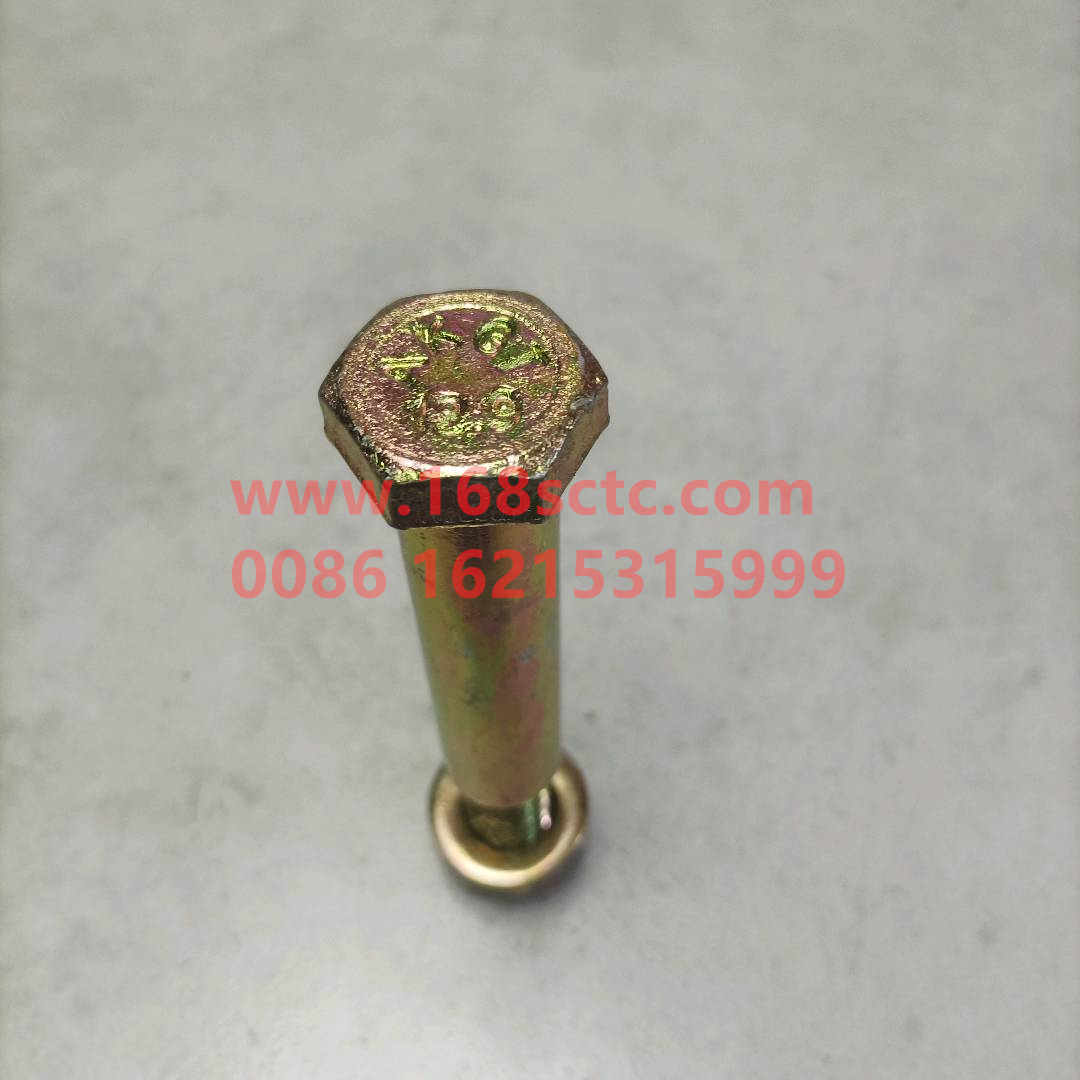 wg80680029
