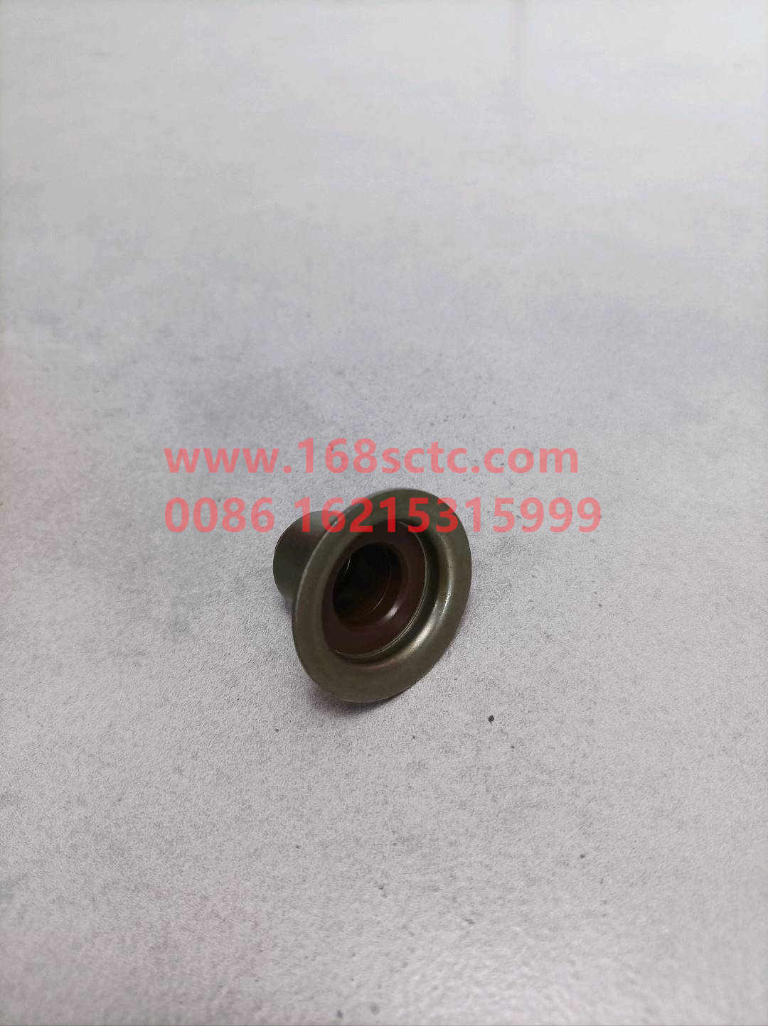 VG1540040016-SINOTRUK HOWO-Oil seal (valve oil seal)-ZhongQiFaDongJiWD615.96NE