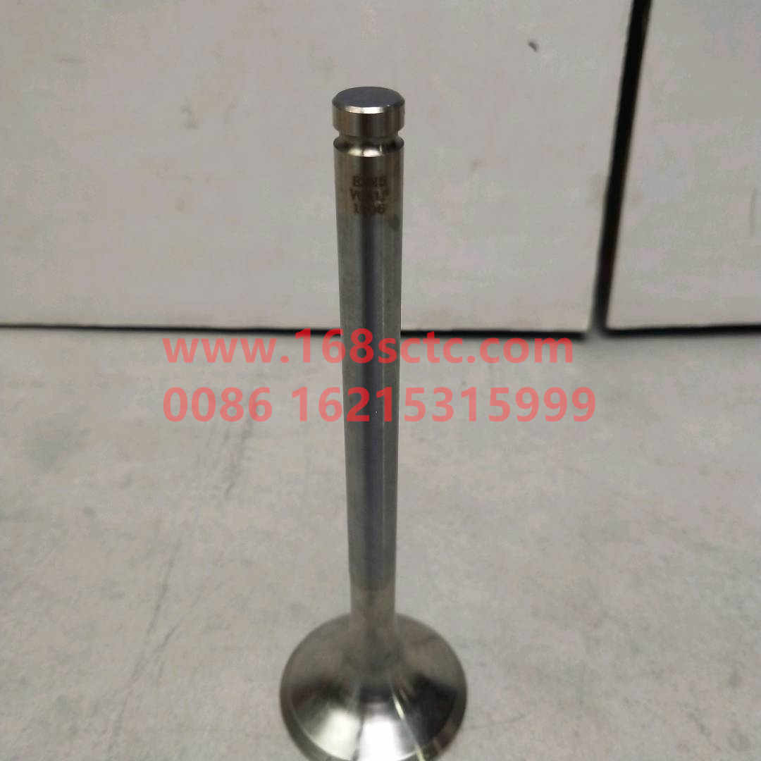 VG1560050041-SINOTRUK HOWO-exhaust valveEurope Ⅱ-ZhongQiFaDongJiWD615.97C
