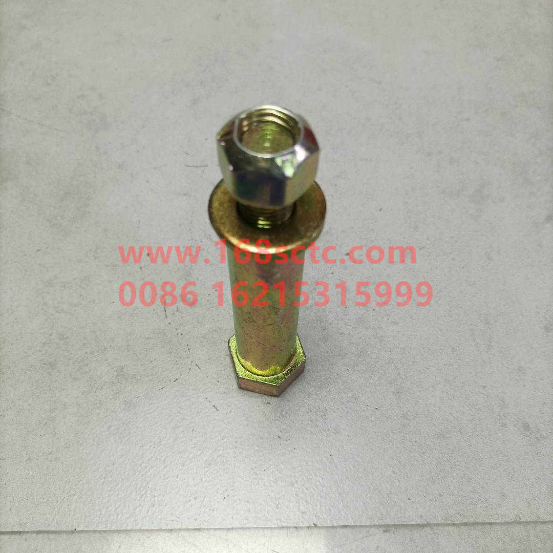 wg9100680069