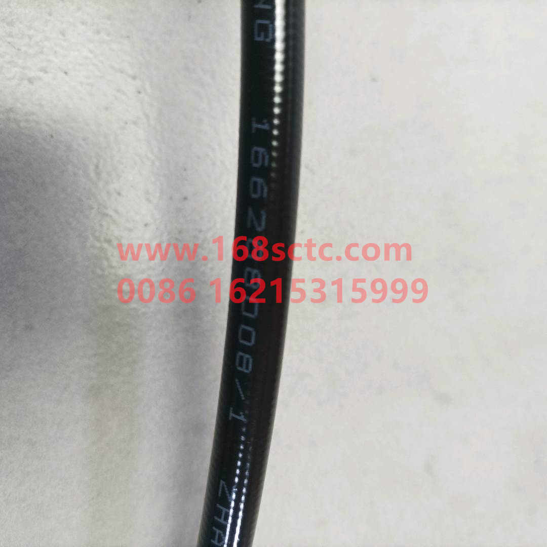 wg9719820204