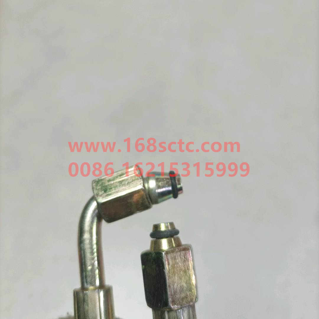 wg9719820207