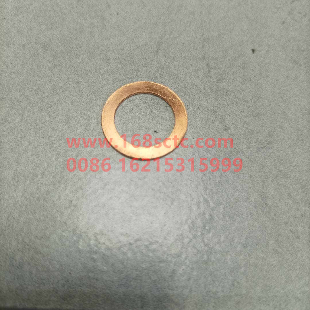 VG18872339-SINOTRUK HOWO-self-locking washer-ZhongQiFaDongJiWD615.97NE