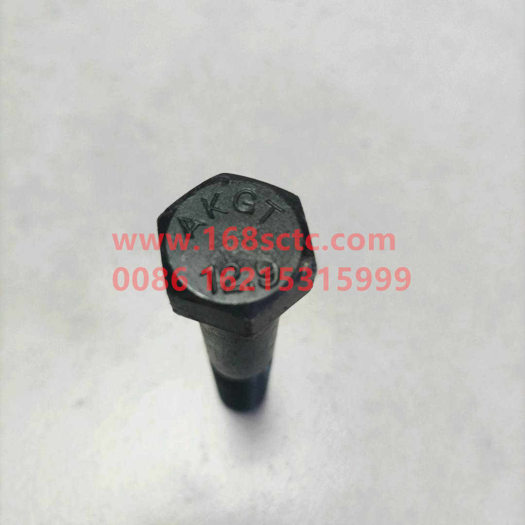 WG9231320169