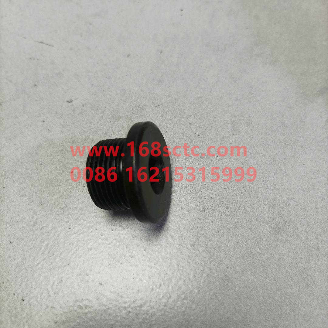 WG9231340002-SINOTRUK HOWO-Hexagon socket plug-ZhongQiZhongQiaoST13