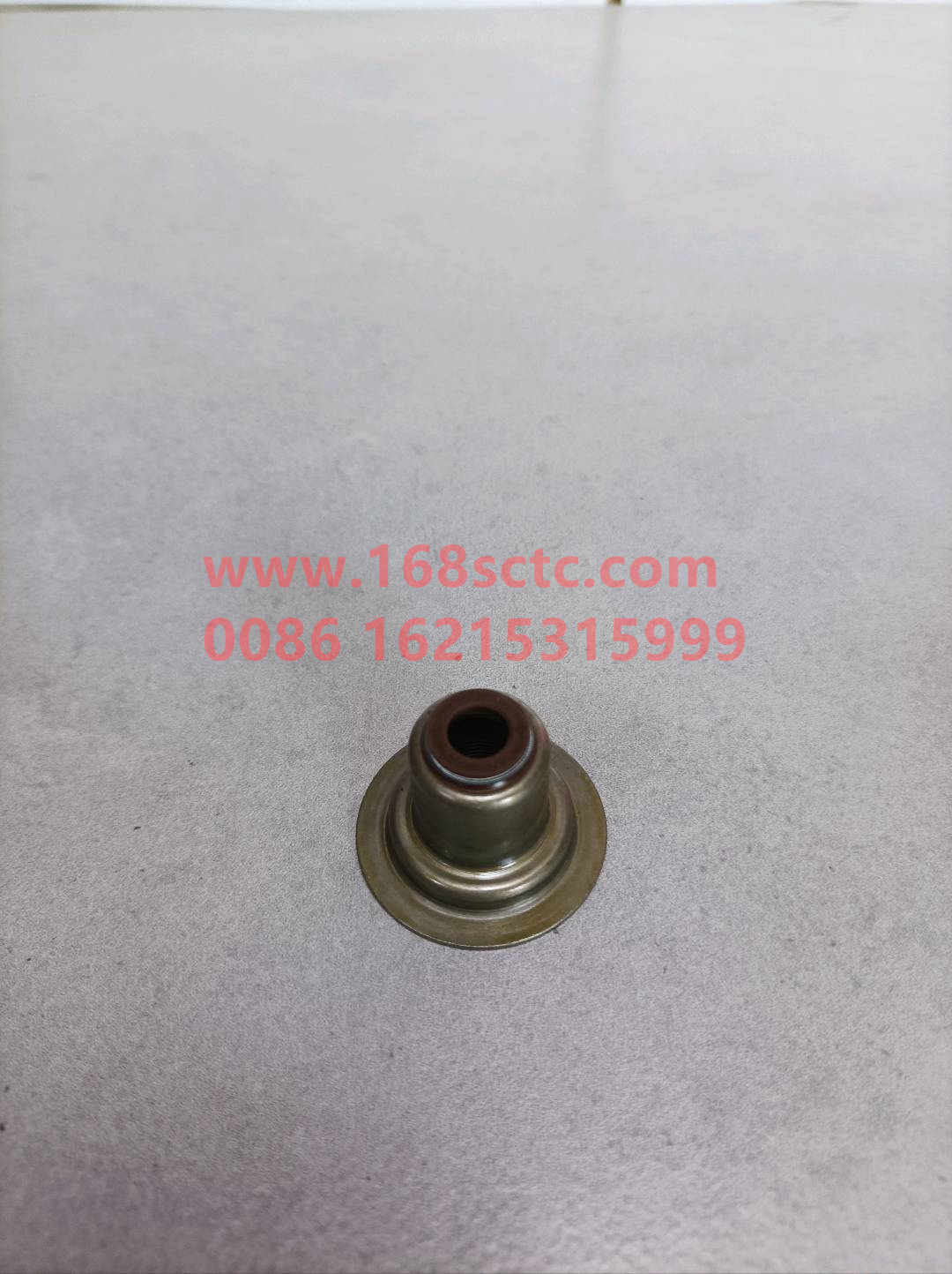 VG1540040016-SINOTRUK HOWO-Oil seal (valve oil seal)-ZhongQiFaDongJiWD615.96NE