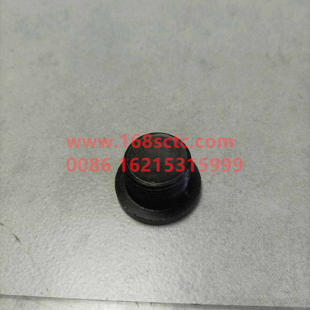WG9231340002-SINOTRUK HOWO-Hexagon socket plug-ZhongQiZhongQiaoST13