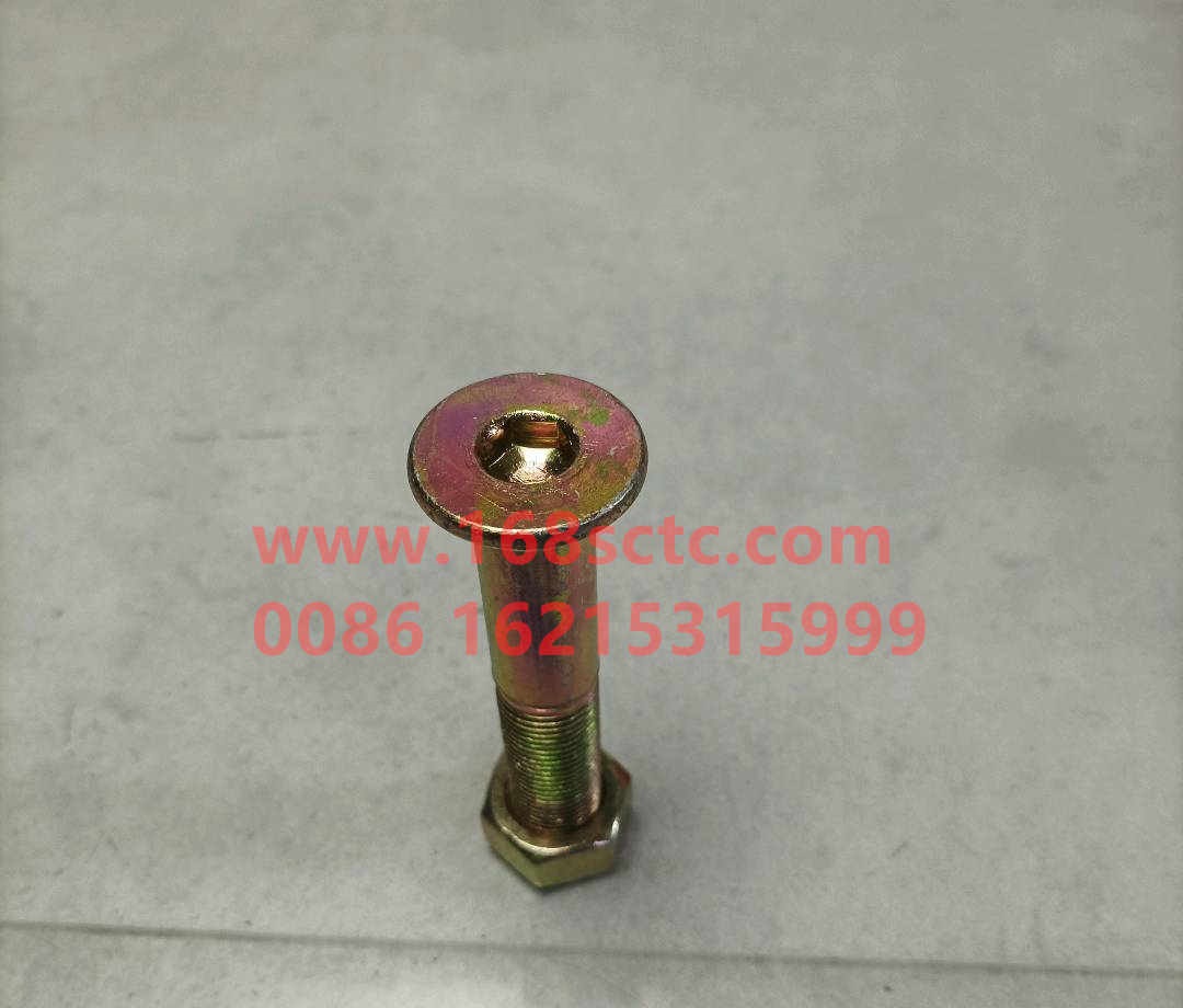 AZ9003860004-OTHERS-Hexagon socket head boltswith nut M16x90-LiuJiaoTouLuoShuan