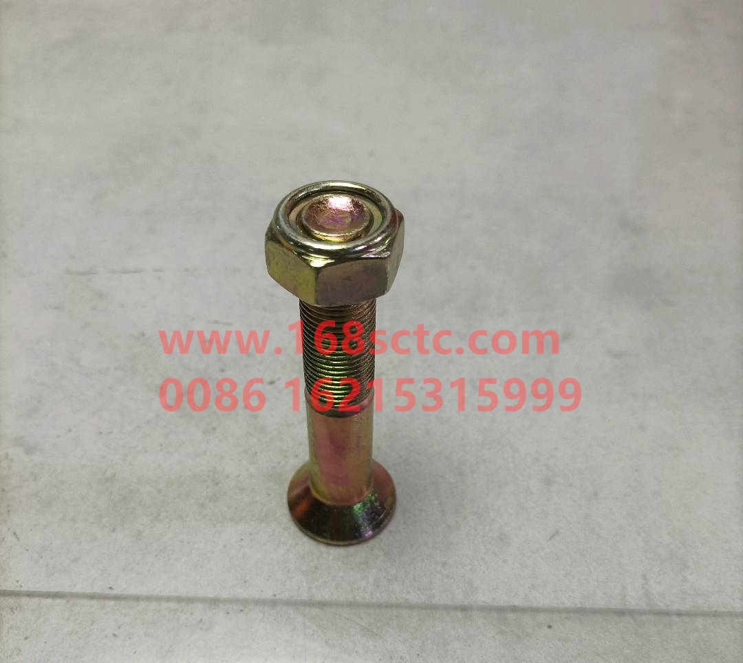 AZ9003860004-OTHERS-Hexagon socket head boltswith nut M16x90-LiuJiaoTouLuoShuan