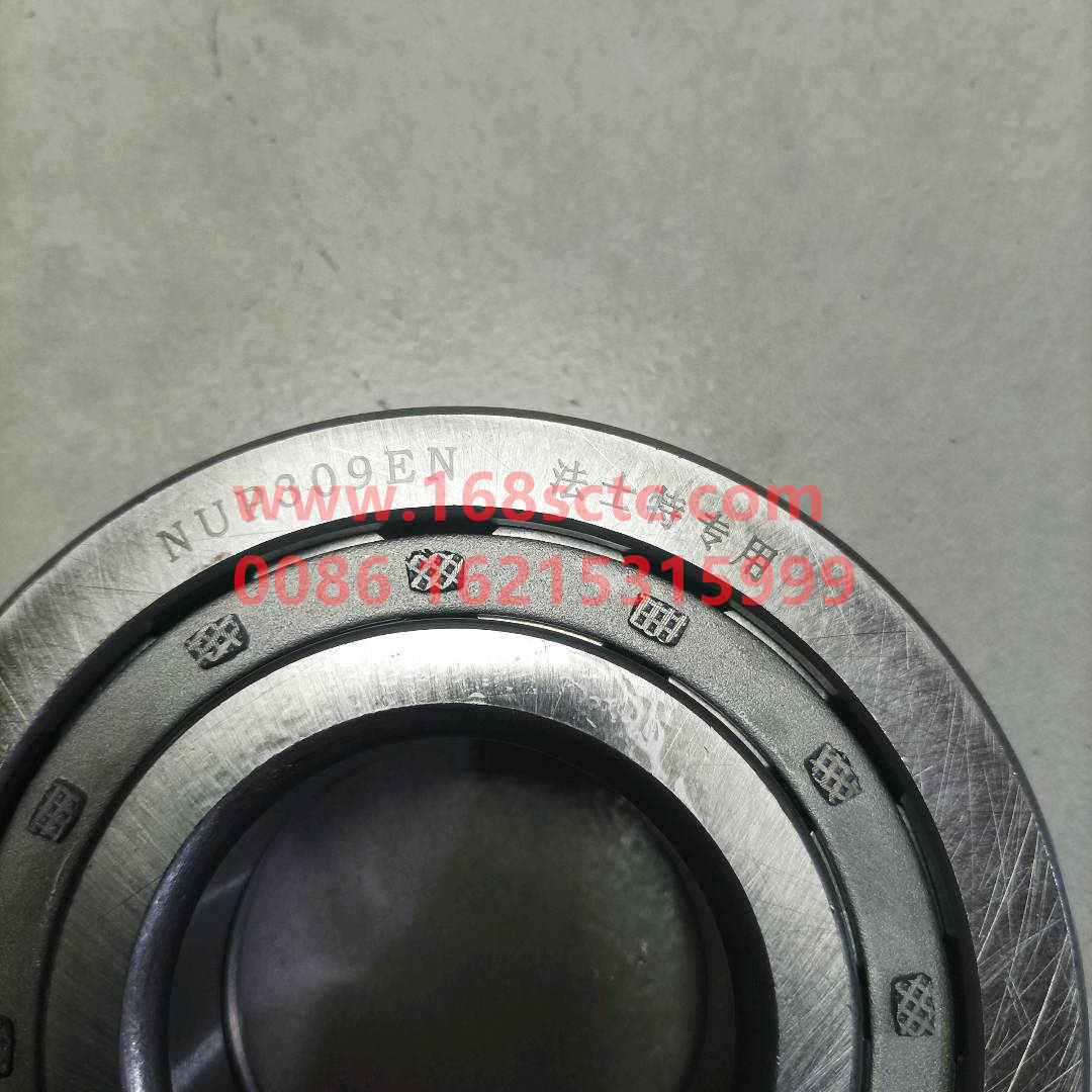 WG9003329309-OTHERS-Cylindrical Roller Bearingswith stop groove NUP309EN-BianSuXiangZhouCheng