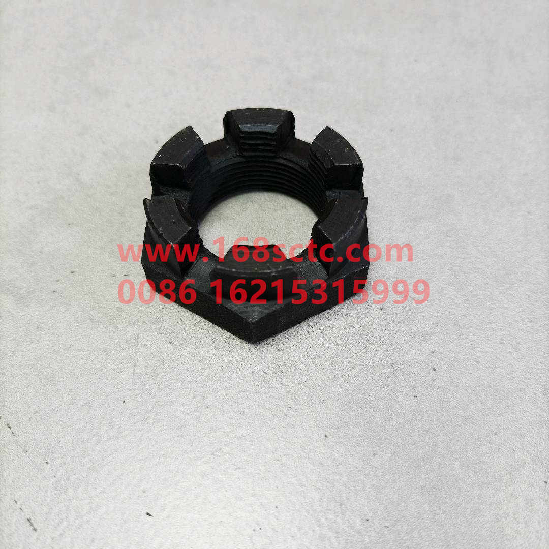 WG9725478045-nut