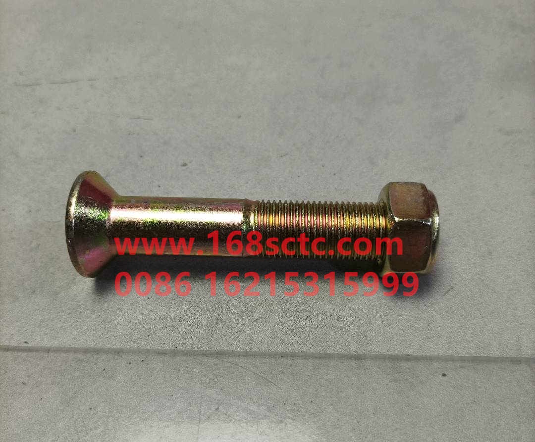 AZ9003860004-OTHERS-Hexagon socket head boltswith nut M16x90-LiuJiaoTouLuoShuan