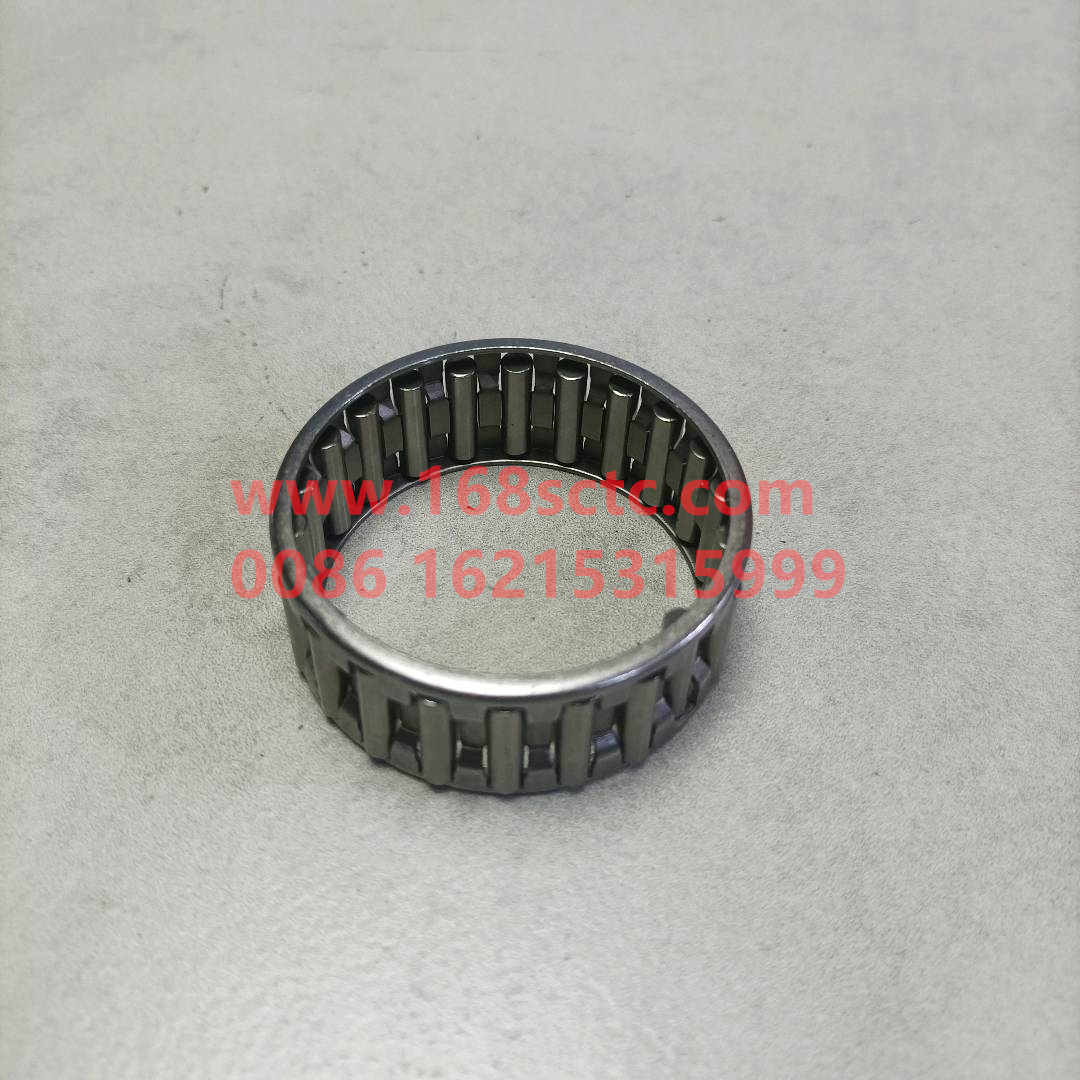 WG9003395320-SINOTRUK HOWO-Needle bearing K45x53x20-HaoWo2013Kuan
