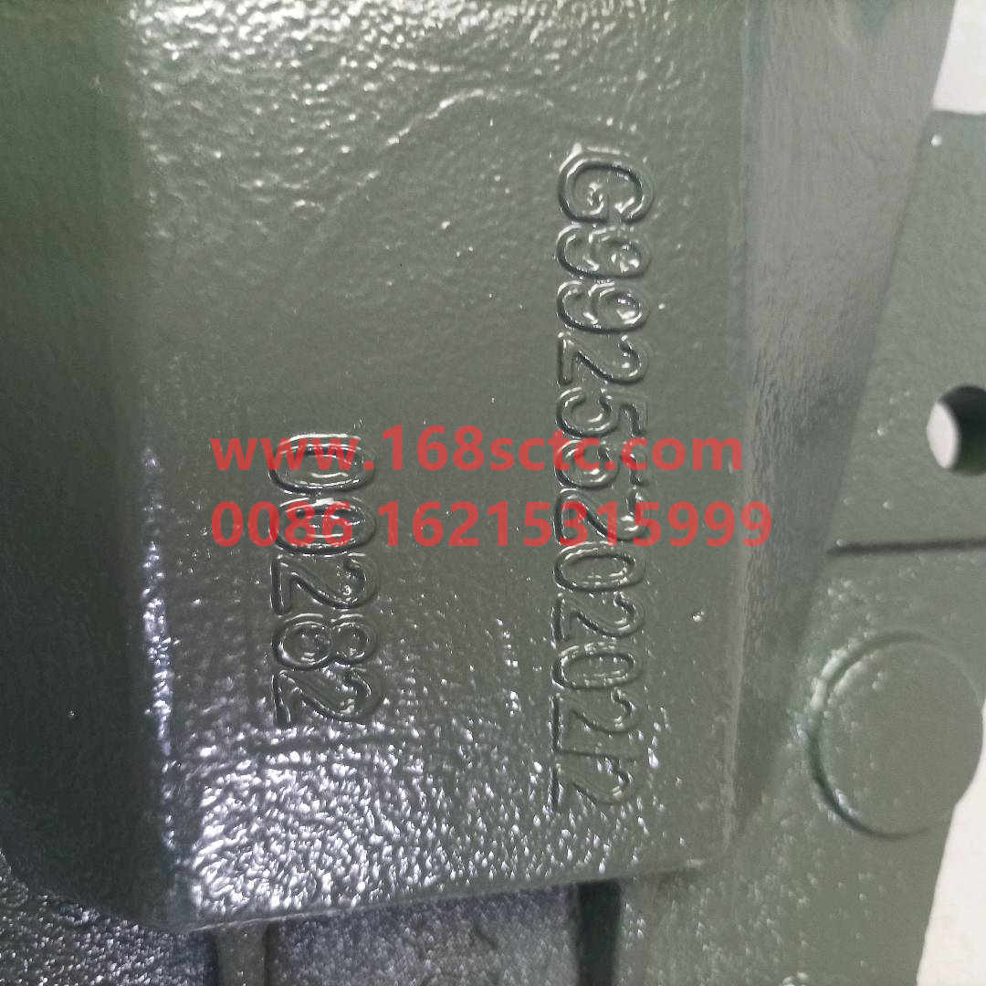 WG9925520202