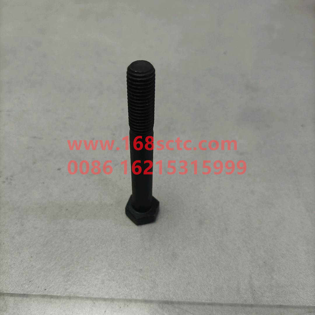 VG1560050059-SINOTRUK HOWO-hex head bolt-ZhongQiFaDongJiWT615.95