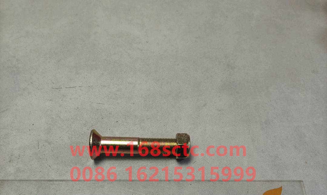 AZ9003860004-OTHERS-Hexagon socket head boltswith nut M16x90-LiuJiaoTouLuoShuan
