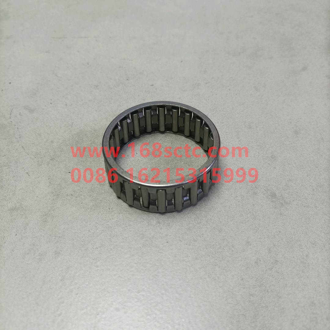 WG9003395320-SINOTRUK HOWO-Needle bearing K45x53x20-HaoWo2013Kuan