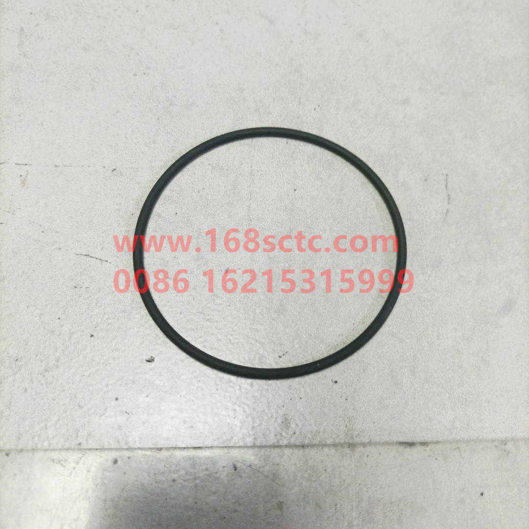 WG9003071700-SINOTRUK HOWO-oRing 17x2.5-HaoWo2013Kuan