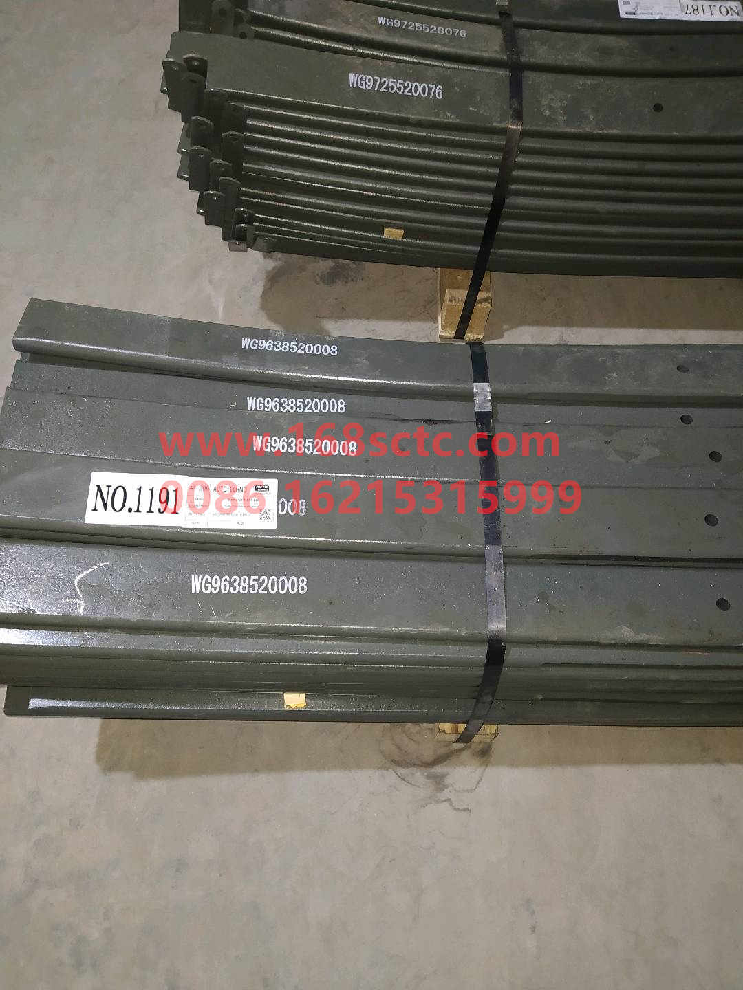 WG9638520008-2