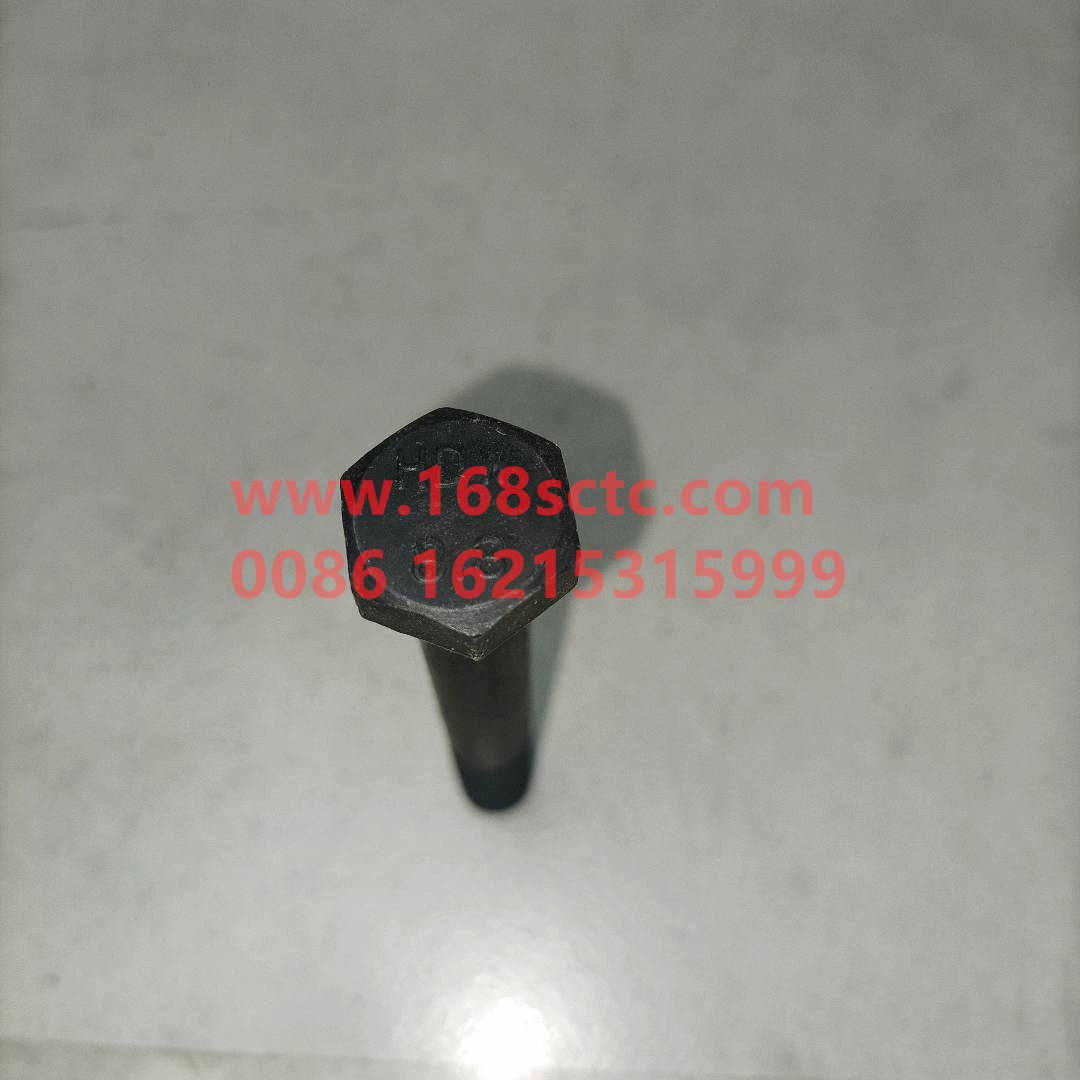 VG1560050059-SINOTRUK HOWO-hex head bolt-ZhongQiFaDongJiWT615.95