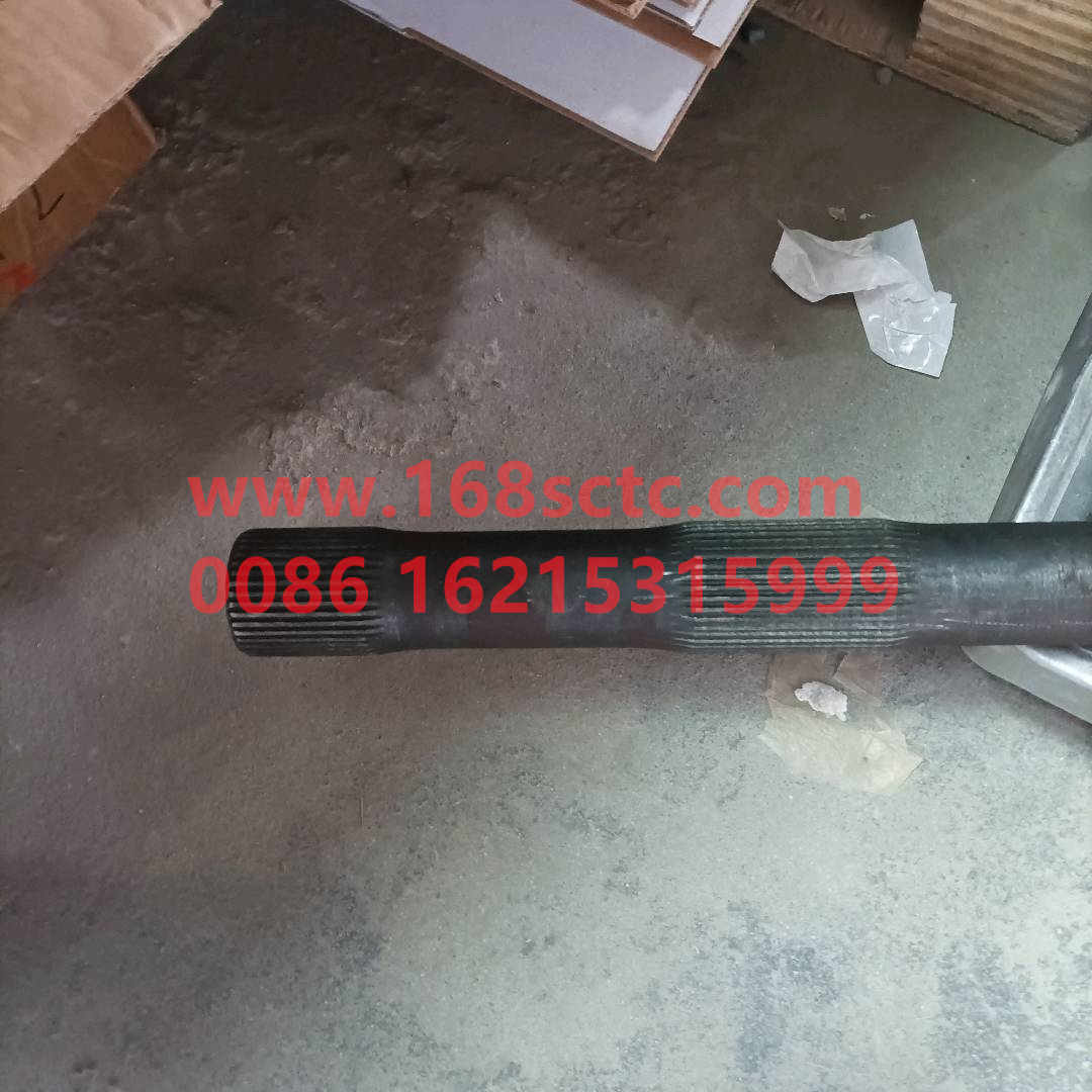 25ZHS01-03060