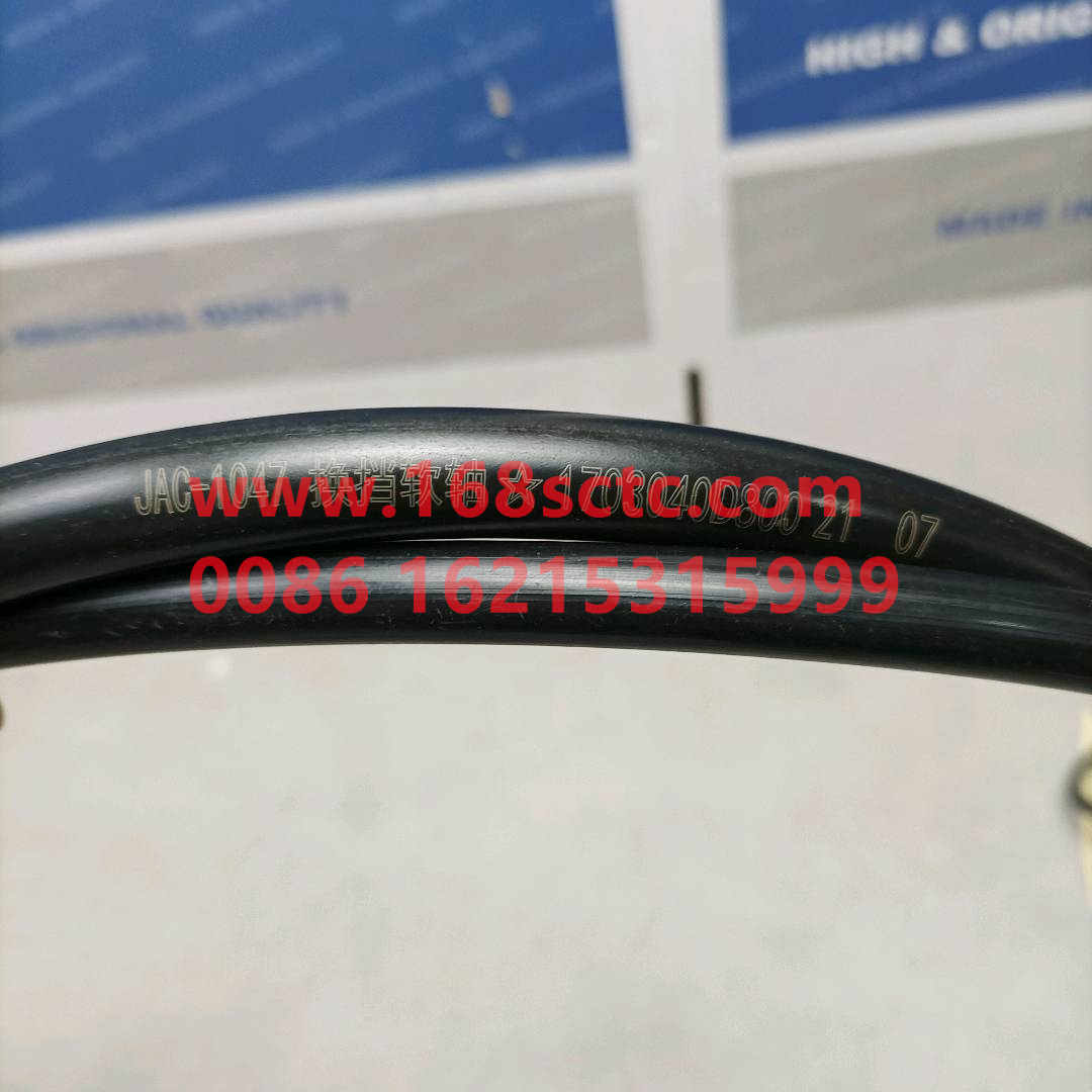 JAC1703040D800W0498