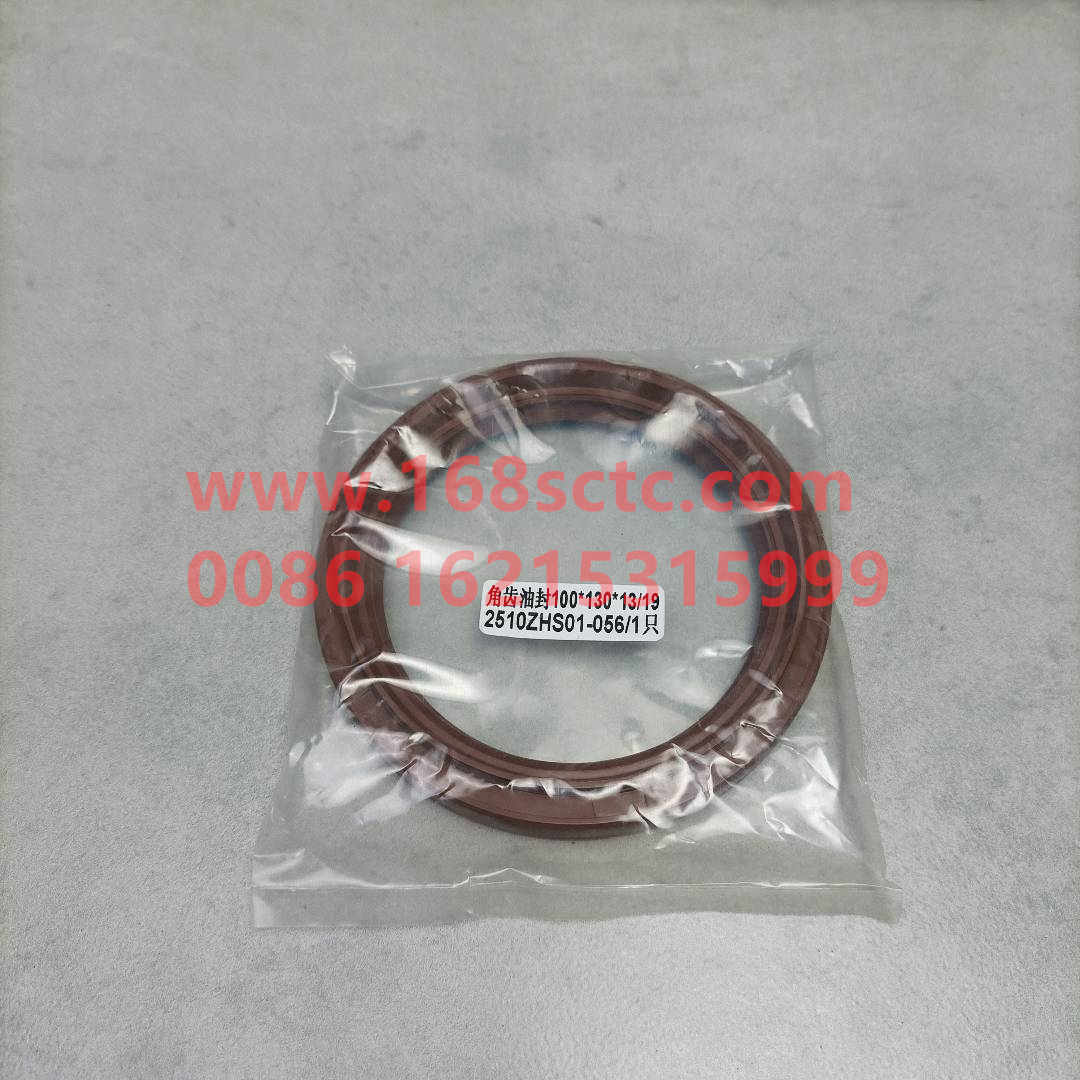 2510ZHS01-056
