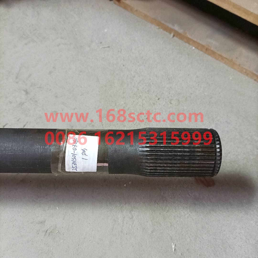 25ZHS01-03060