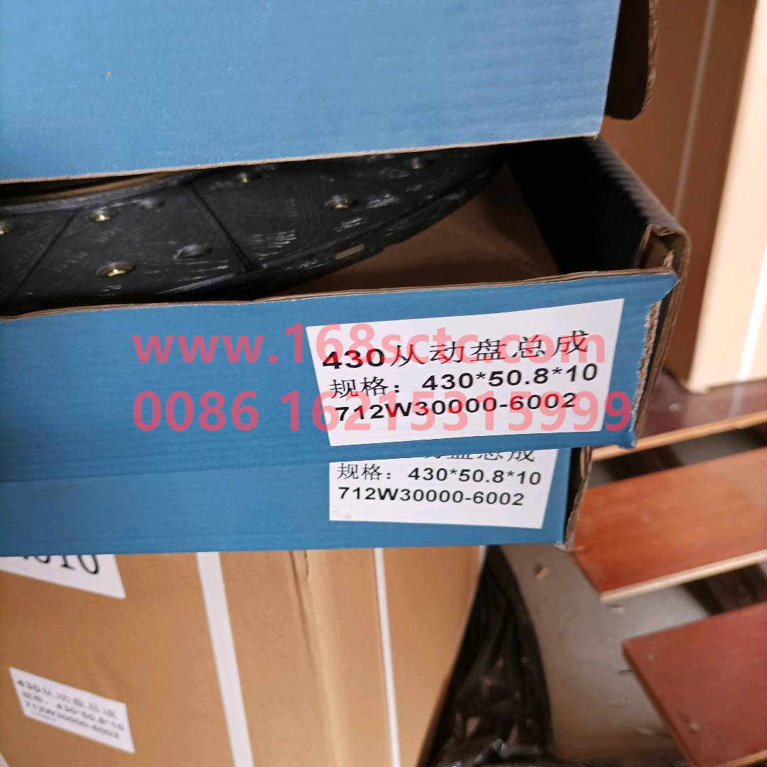 712W30000-6002 (1)