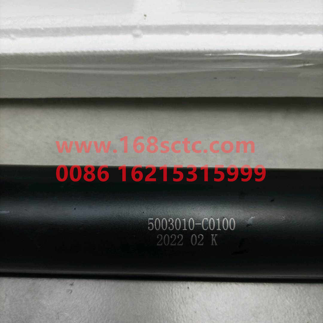 5003010-C0100